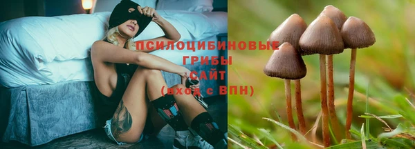 трава Бугульма