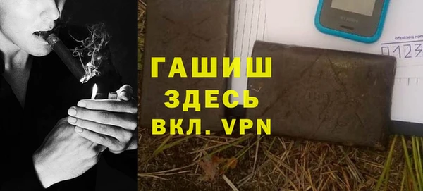 стаф Бородино