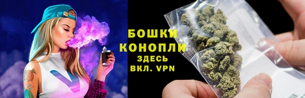стаф Бородино