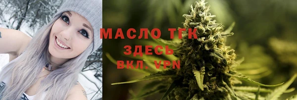 стаф Бородино