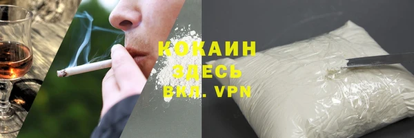 стаф Бородино