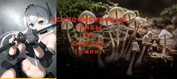 стаф Бородино