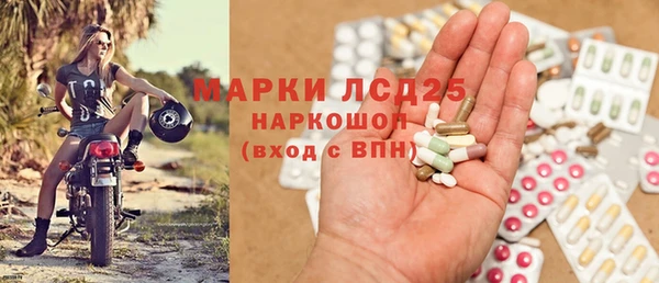 стаф Бородино
